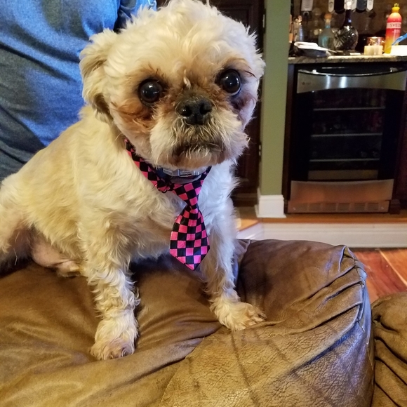 Meet The Posher - Picture 4 of 15